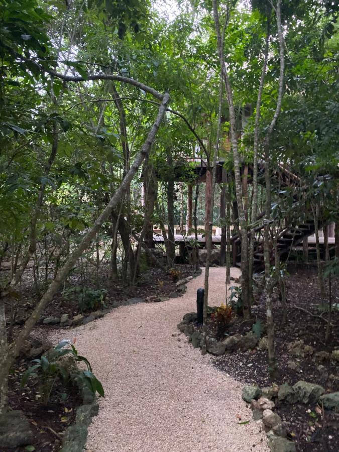 Xoot Ka'Ana Villa Fantasia Bacalar Exterior photo